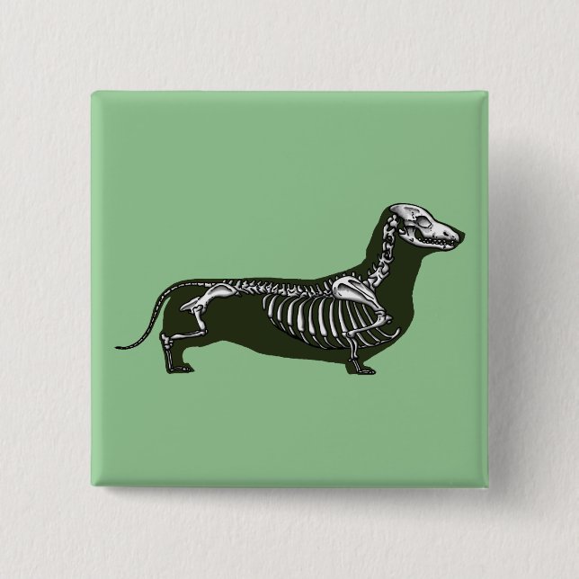 Badge Carré 5 Cm squelette de teckel (Devant)