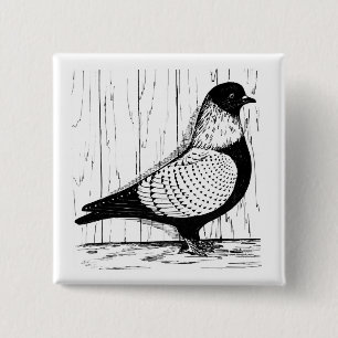 Badge Carré 5 Cm Starling Pigeon Silver-laced 1979