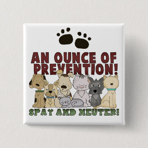 Badge Carré 5 Cm Stérilisez et changez votre bouton d'animaux