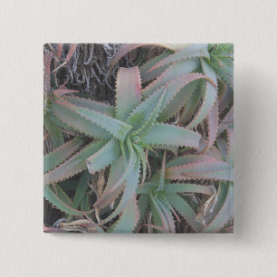 Badge Carré 5 Cm Succulentes du Nevada
