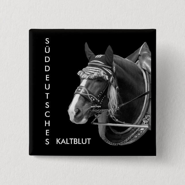 Badge Carré 5 Cm sw3526, Allemagne du Sud, sang froid (Devant)