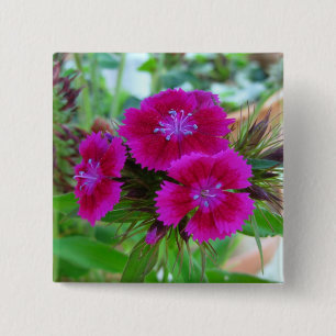 Badge Carré 5 Cm Sweet William Button