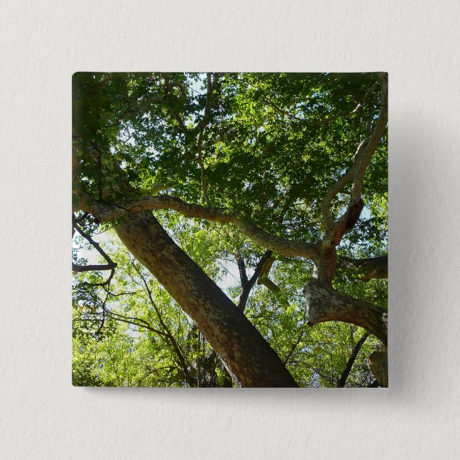 Badge Carré 5 Cm Sycamore Tree Nature verte (Devant)