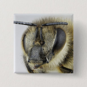 Badge Carré 5 Cm Tête d'abeille