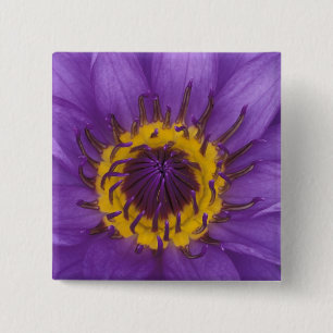 Badge Carré 5 Cm Thaïlande, Bangkok, Lotus violet et jaune