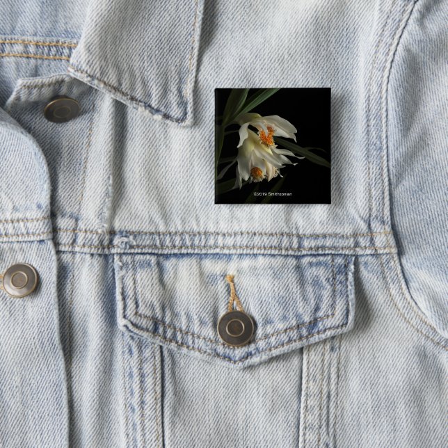 Badge Carré 5 Cm Thunia Marshalliana (En situation)