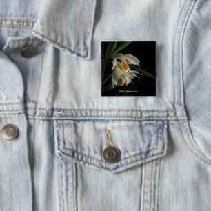 Badge Carré 5 Cm Thunia Marshalliana