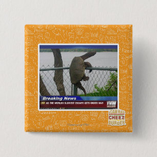 Badge Carré 5 Cm Tortue d'Excaping