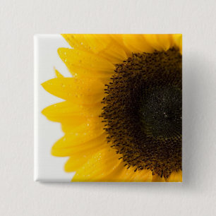 Badge Carré 5 Cm tournesol