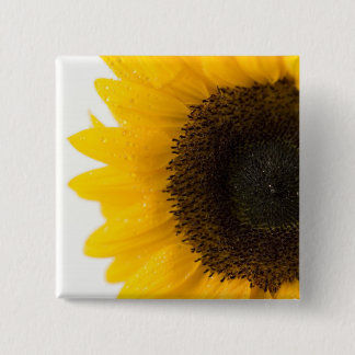 Badge Carré 5 Cm tournesol