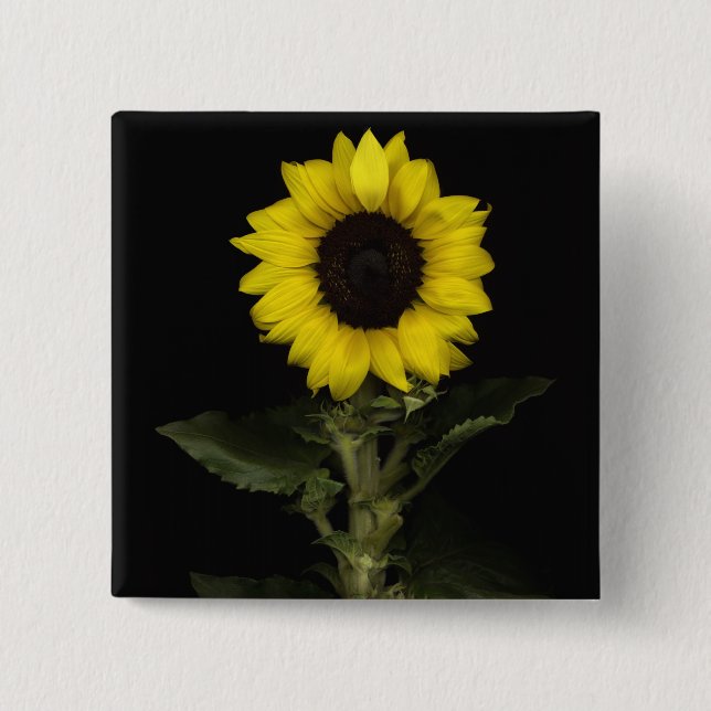 Badge Carré 5 Cm Tournesol 11 (Devant)