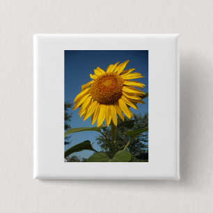 Badge Carré 5 Cm Tournesol du matin