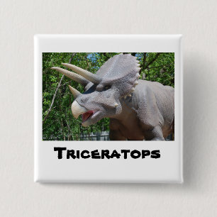 Badge Carré 5 Cm Tricératops Dinosaures