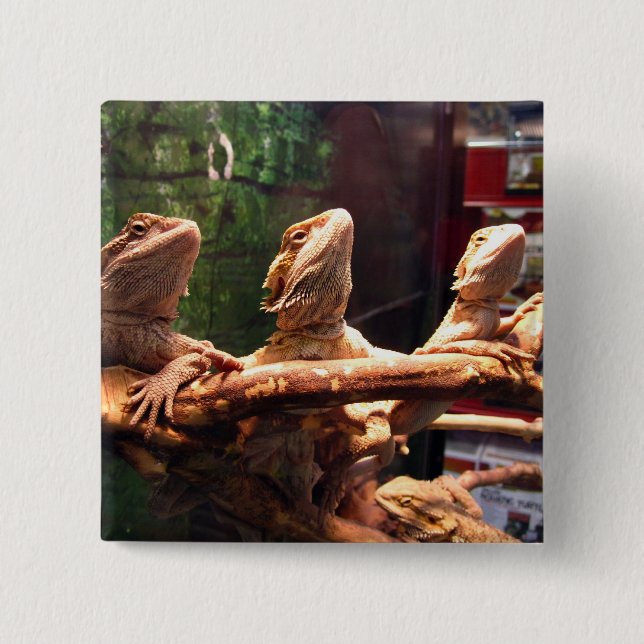 Badge Carré 5 Cm Trio de Leezard (Devant)