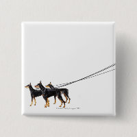 Trois Dobermans en laisse