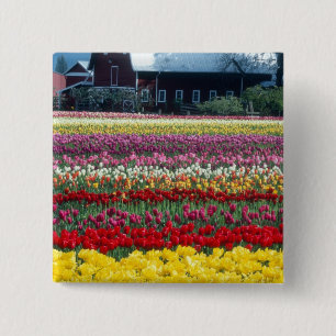 Badge Carré 5 Cm Tulip display garden, comté de Skagit,