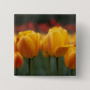Badge Carré 5 Cm Tulipes 2