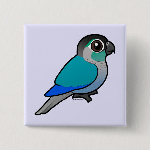 Badge Carré 5 Cm Turquoise Conure Vert-cheeked