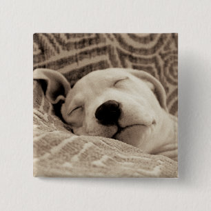 Badge Carré 5 Cm Un chien fatigué