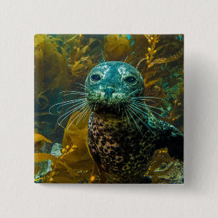 Badge Carré 5 Cm Une forêt curieuse Santa Barbara de varech de