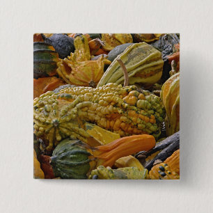 Badge Carré 5 Cm Variété de courge