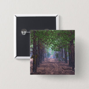 Badge Carré 5 Cm Vent dans le bouton Pines