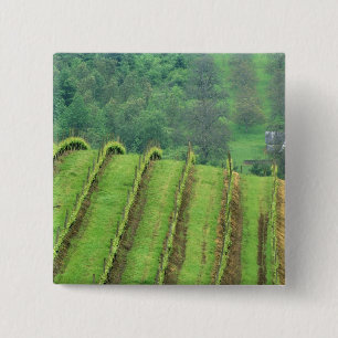 Badge Carré 5 Cm Vignobles de raisin près de Newberg Oregon