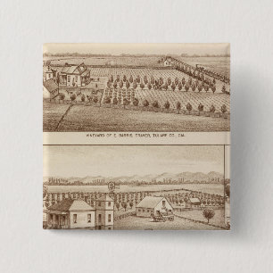 Badge Carré 5 Cm Vignobles, ranchs, Tulare Co, Calif