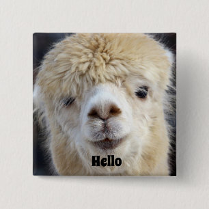Badge Carré 5 Cm Visage d'alpaca mignon