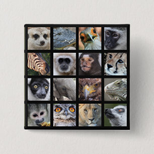 Badge Carré 5 Cm Visages d'animal sauvage -- Mammifères, reptiles,