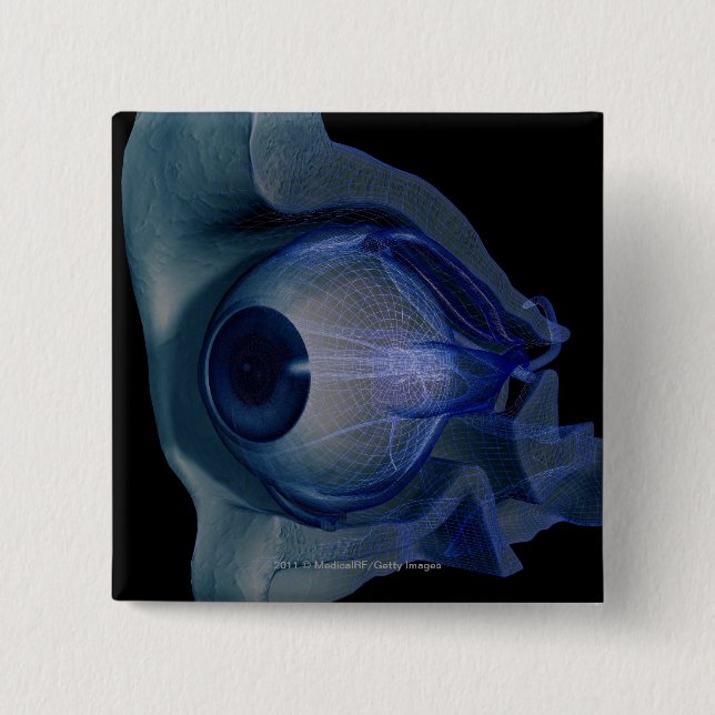 Badge Carré 5 Cm wireframe 3d des muscles d'oeil dans une orbite (Devant)