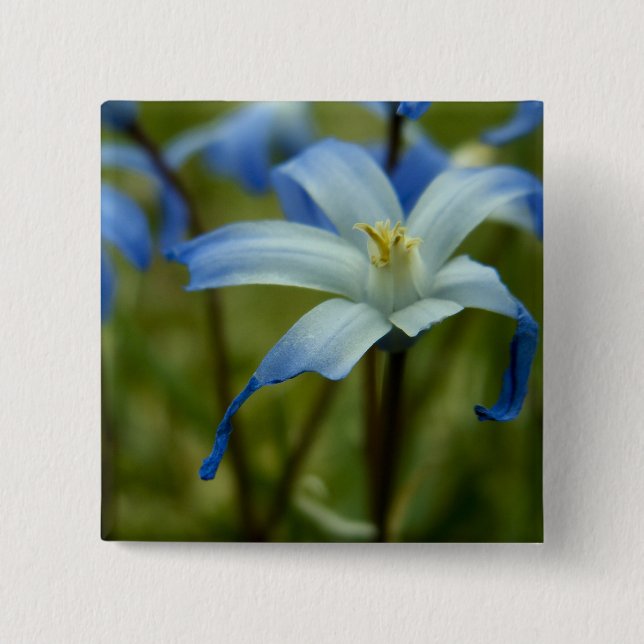 Badge Carré 5 Cm witherly (Devant)