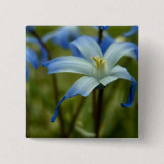 Badge Carré 5 Cm witherly