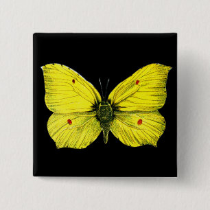 Badge Carré 5 Cm Zitronenfalter