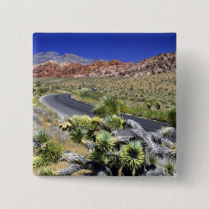 Badge Carré 5 Cm Zone nationale de conservation de Red Rock Canyon,