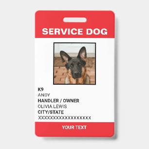 Badge Carte Ada personnalisée Service Chien photo ID
