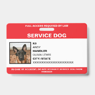 Badge Carte d'identification personnalisée pour chien d'