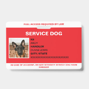 Badge Carte d'identification personnalisée pour chien d'
