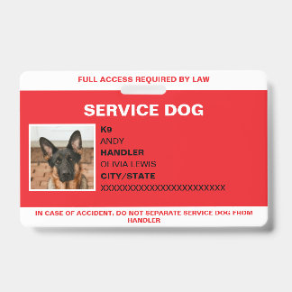 Badge Carte d'identification personnalisée pour chien d'