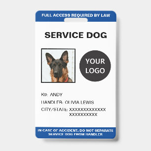 Badge Carte d'identification personnalisée pour chien d'