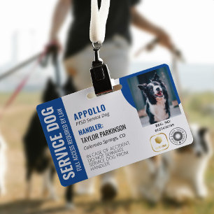 Badge Carte d'identité de chien d'assistance Bleu Blanc 