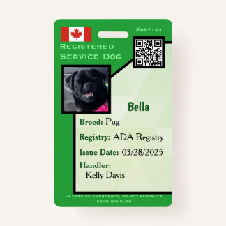 Badge Carte d'identité de chien de service insigne vert 