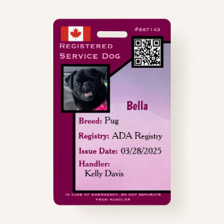 Badge Carte d'identité de chien de service insigne verti