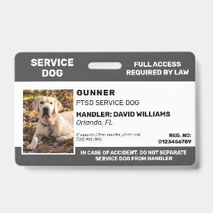 Badge Carte d'identité photo Chien de service blanc gris