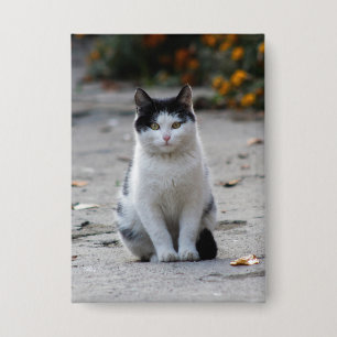 Badge Chat, Blanc, Animaux