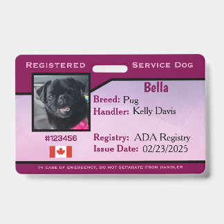 Badge Chien d'assistance Horizontal Violet