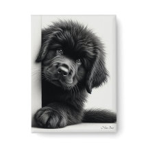 Curieux chiot Terre-Neuve noir qui regarde