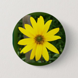 Badge de tournesol ou bouton
