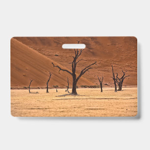 Badge Dead Vlei, Namibie
