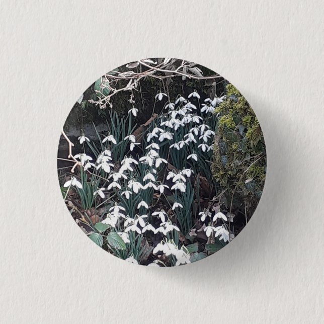 Badge des chutes de neige de printemps (Devant)
